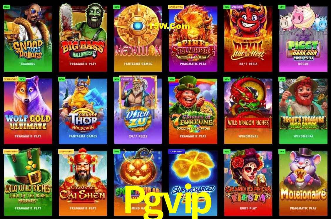 Bonus Features Pgvip