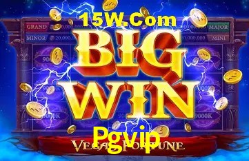Pgvip - Aplicativo Móvel