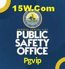 Pgvip Brasília - Jogo Features