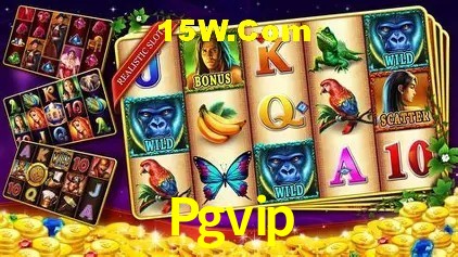 Pgvip Rio de Janeiro - Slot Strategy