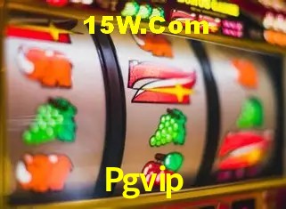 Pgvip Salvador - Support